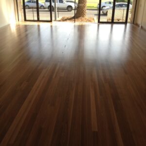 NSW Spotted Gum